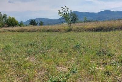 Teren intravilan Piatra Neamt - 4