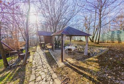 Casă cu 6 camere cu Teren 2823 Mp în Tăuții de Sus - 51