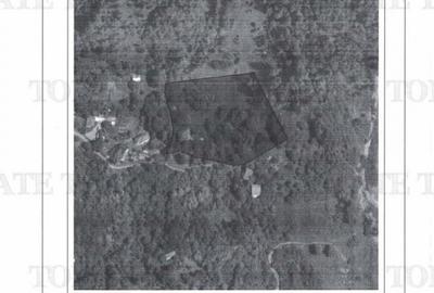 Teren 11230 m.p. Conac - necesita renovare - 16