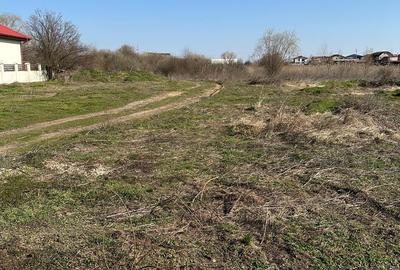 Teren de 815 mp, în Berceni