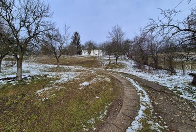 Casă individuală cu 5 camere cu Teren 5950 Mp în Central - 4