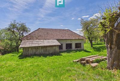 Casă individuală cu 2 camere cu Canalizare în Măgulicea - 30