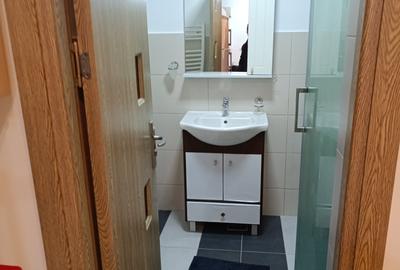 Apartament cu 2 camere semidecomandat, mobilat în Nord - 8