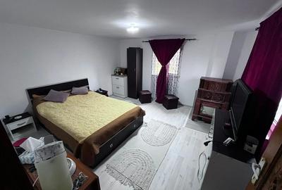 Vand casa cu mansarda ?i livada cu meri la poalele muntelui Leaota - 8