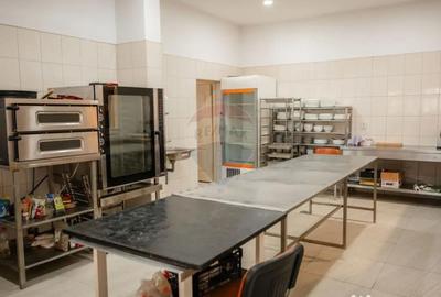 Spațiu comercial, de 1,132 mp, în Lunca (Vânători-Neamț) - 17