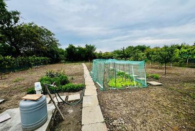 Casă individuală cu teren generos 900mp - Zona Bogdăneștilor - 7