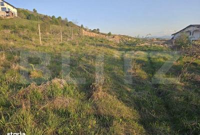 Teren de 1150 mp, în Ciurila - 4