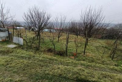 Casă cu 3 camere în Cochirleni - 3