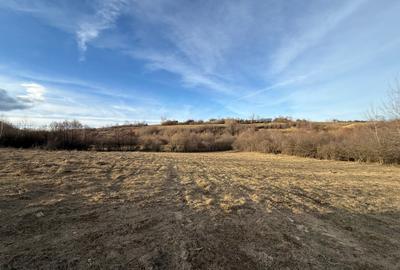 Teren Construcții intravilan de 500 mp, în Bran - 10