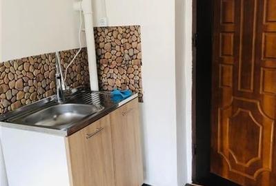 Mica rezidenta tip camera, regim vila, Astra, Brasov - 3