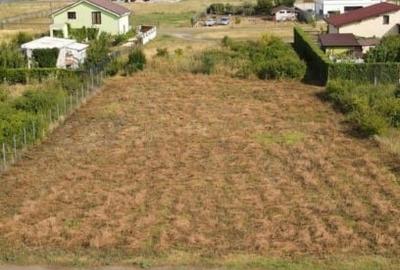 Teren Construcții intravilan de 801 mp, în Torontalului - 1