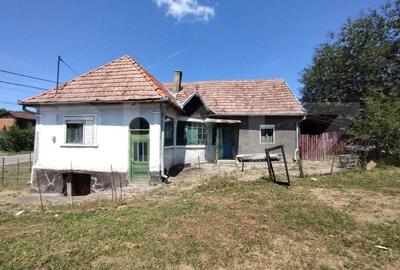 Casa 118 mp cu 4 camere,2300mp teren, zona Lechinta Casa 118 mp cu 4 camere,2300mp teren, zona Lechinta - 2