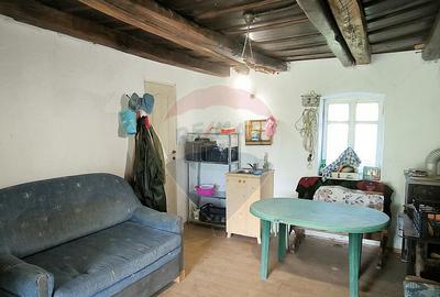 Casa de vacan?a in sat sasesc, Moarda? jude?u... - 9