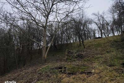 Teren de 5000 mp, în Sic - 4