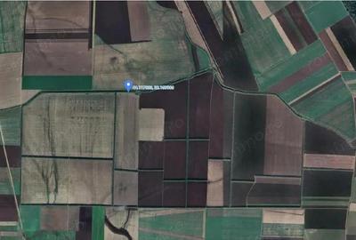 Teren extravilna Cota parte 1/16, CObadin, ID: R2782865 - 4