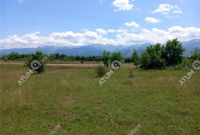 Teren intravilan 5000 mp pe Valea Avrigului, Sibiu - 7