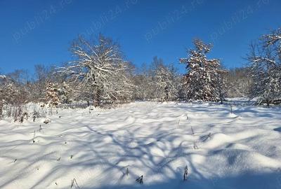 Teren de 2880 mp, în Mustești - 5