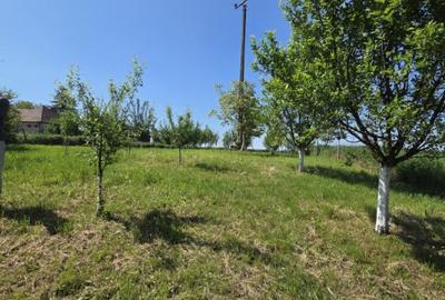 Casă individuală cu 4 camere cu Canalizare în Odoreu - 11