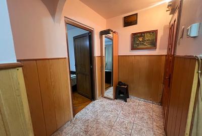 Apartament cu 2 camere semidecomandat, mobilat în Brazda lui Novac - 6