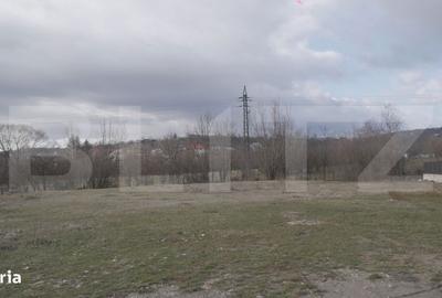 Spațiu comercial, în Ocnița - 5