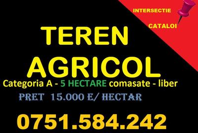 Teren de 50000 mp, în Cataloi - 2