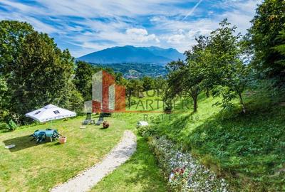 Vilă in Bran cu teren de 28.000 mp și priveliște spectaculoasa Vilă in Bran cu teren de 28.000 mp și priveliște spectaculoasa - 21