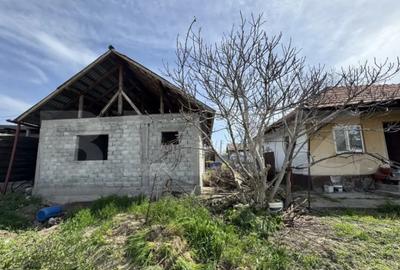 Casă cu 4 camere cu Teren 1397 Mp în Brestei - 5