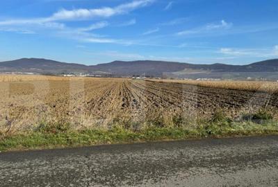 Vand 53 de ari de teren intravilan in Arcalia - 11