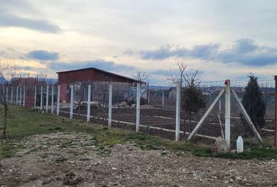 Teren de 600 mp, în Central - 2