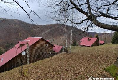 Oportunitate unica! 5ha + 2 cabane de vacanta in Valea Ierii - 2