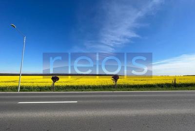 Teren 6.5HMakita Branesti deschidere 65 mp - 2