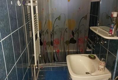 Garsonieră decomandată în Badea Cârțan - 2