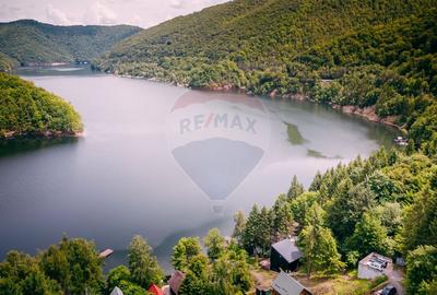 Vanzare casa de vacanta cu ponton privat la lac Tarnita - 2