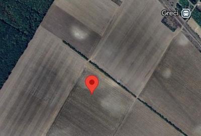 Teren de 10000 mp, în Grădiștea - 2