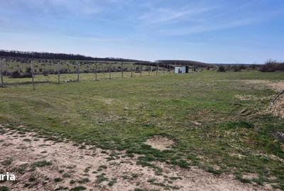 Teren de 880 mp, în Nojorid