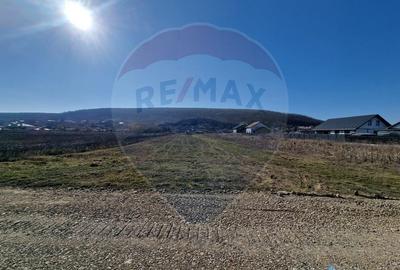 Teren Construcții intravilan de 2002 mp, în Hemeiuș - 1