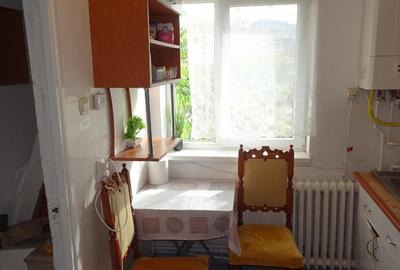 Vand apartament cu 2 camere in Deva, zona ultracentrala (Piata), 49 mp - 10