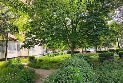 Apartament cu 2 camere decomandat în Tudor Vladimirescu - 1