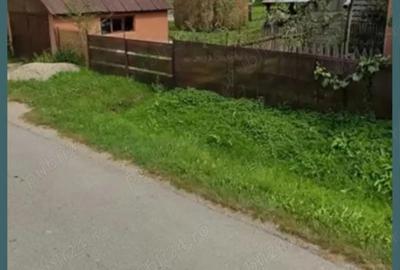 Casa ?i teren 2ha intravilan - 3