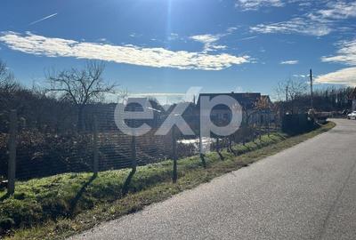 Casă individuală cu 2 camere cu Teren 3772 Mp în Cocu - 3