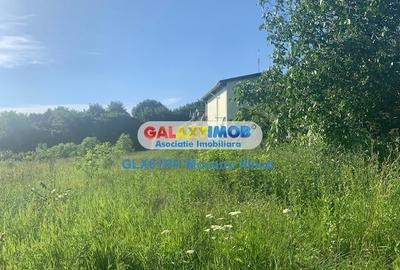 Teren Construcții intravilan de 1193 mp, în Păulești - 7