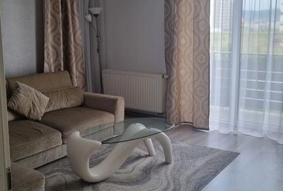 Apartament cu 2 camere decomandat în Șelimbăr - 4