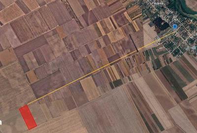 Teren de 56987 mp, în Frumușani