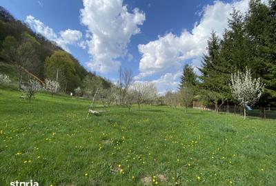 Teren de 1780 mp, în Valea Doftanei - 8