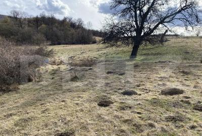 Teren extravilan in suprafata de 7500 mp la poalele Mesesulu - 2