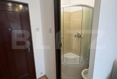 Garsonieră în Florilor - 1