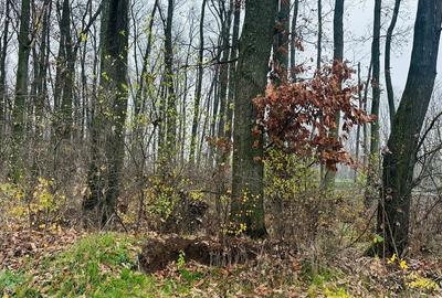 REL4001232 Teren de vanzare in Corbeanca - 5