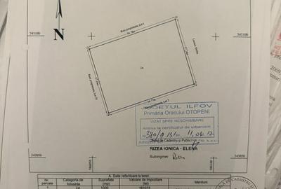 Spațiu comercial, în Central