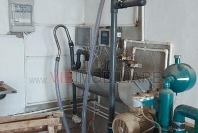 Teren de 40000 mp, în Cenad - 18