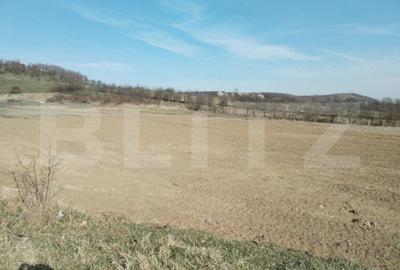 Teren de 90000 mp, în Aninoasa - 5
